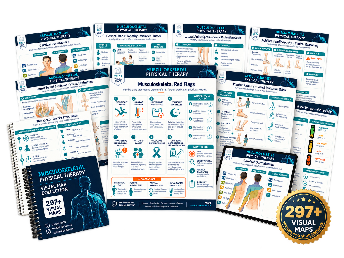 297+ musculoskeletal physical therapy visual maps in English